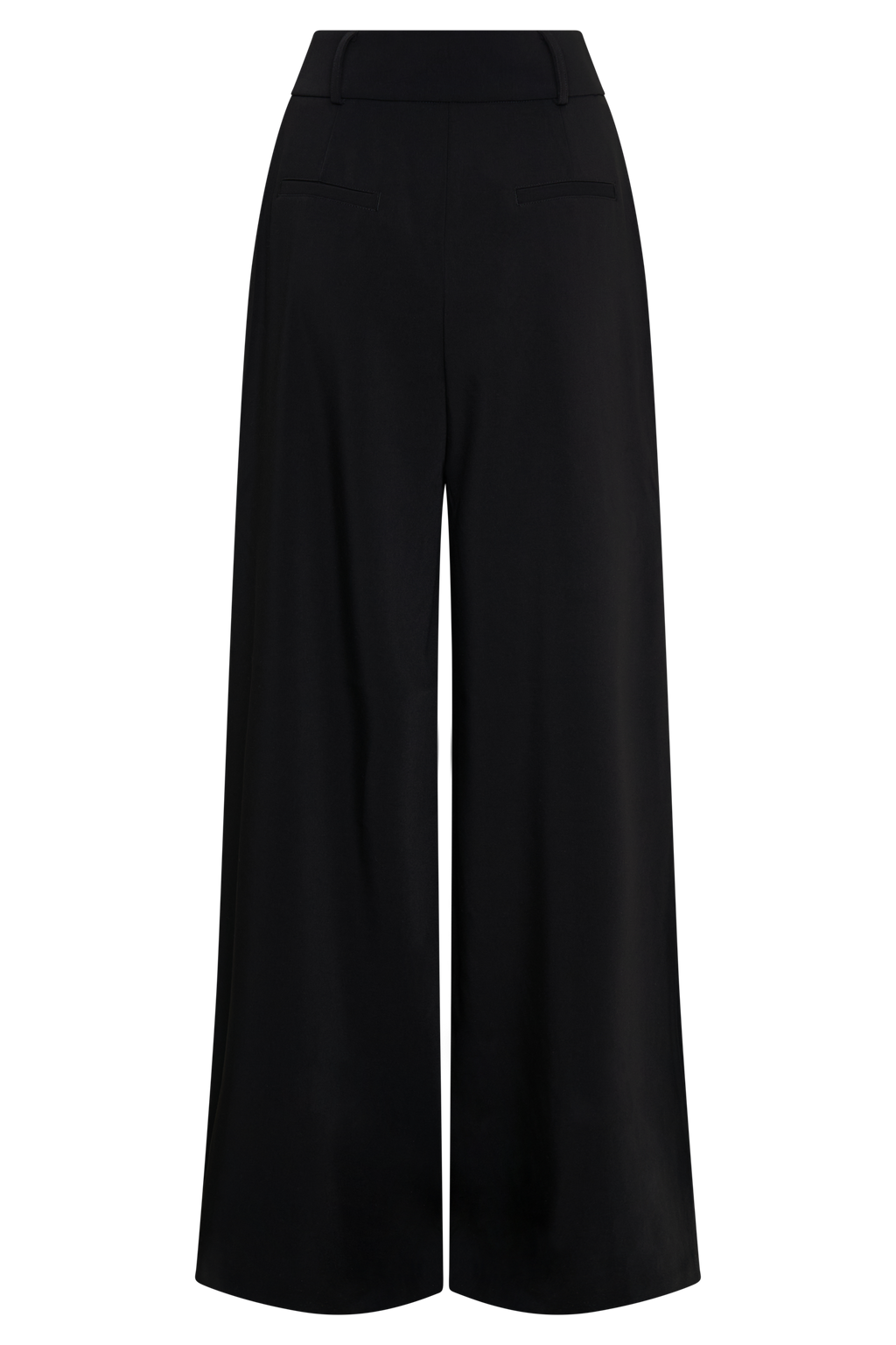 Jacqueline Pleated Wide Leg Pants - Black